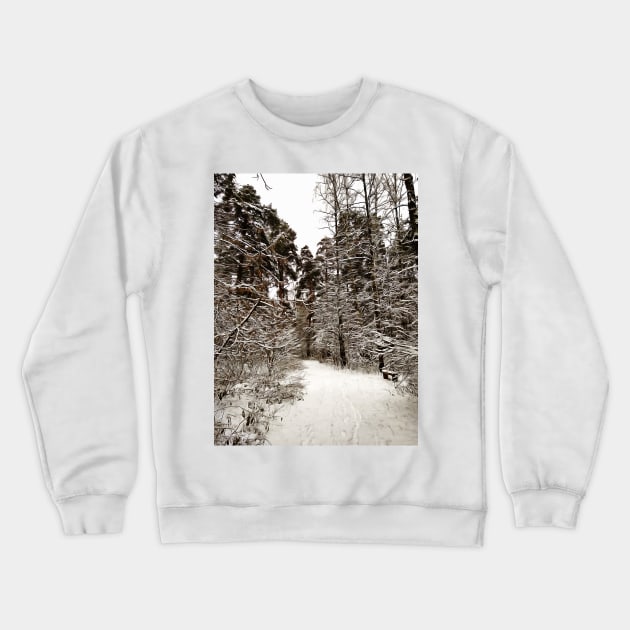 Winter forest Crewneck Sweatshirt by Evgeniya